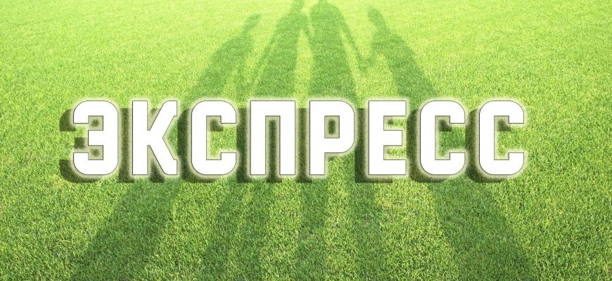 Express-ставки