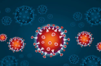 коронавирус в ставках на спорт