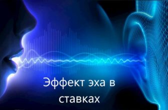 эхо в ставках