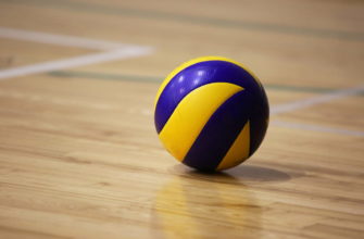 ставки на волейбол