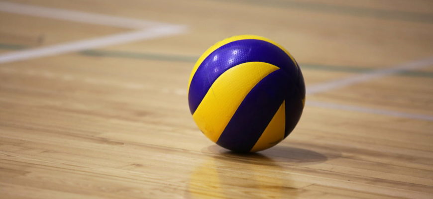 ставки на волейбол